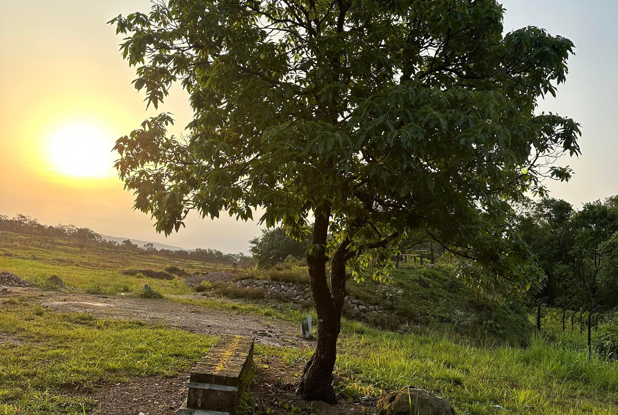 Thrillophilia Review: Sarath Babu’s Soulful Solo Pilgrimage Across Meghalaya