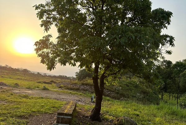 Thrillophilia Review: Sarath Babu’s Soulful Solo Pilgrimage Across Meghalaya