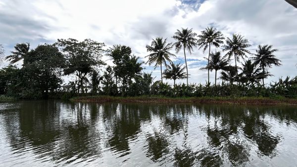 Kerala Unfolded: A Journey through Backwaters, Hills, and Hidden Trails